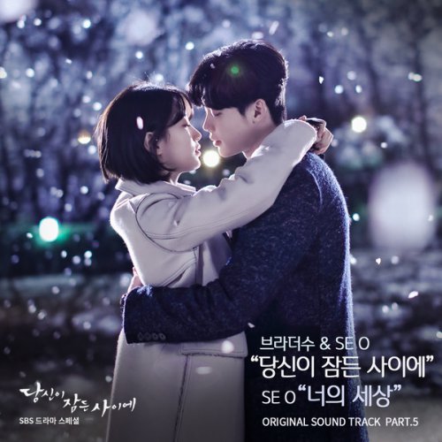 BrotherSu, SE O – While You Were Sleeping OST Part.5