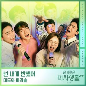 Hospital Playlist 2 OST Special 2