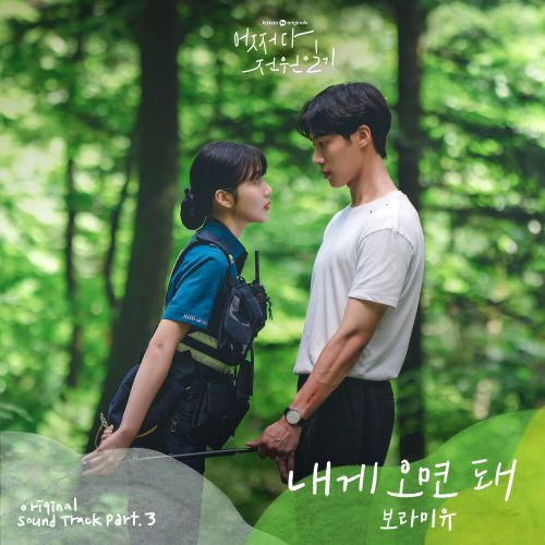 Boramiyu – Once Upon a Small Town OST Part.3