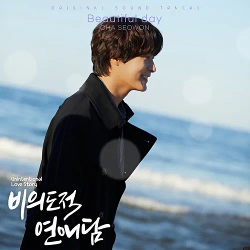 Cha Seo Won – Unintentional Love Story OST Part.5
