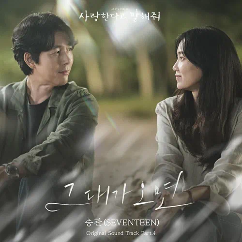 Seung Kwan (SEVENTEEN) – Tell Me That You Love Me OST Part.4