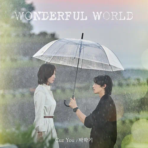 Park Hakki – Wonderful World OST Part.1
