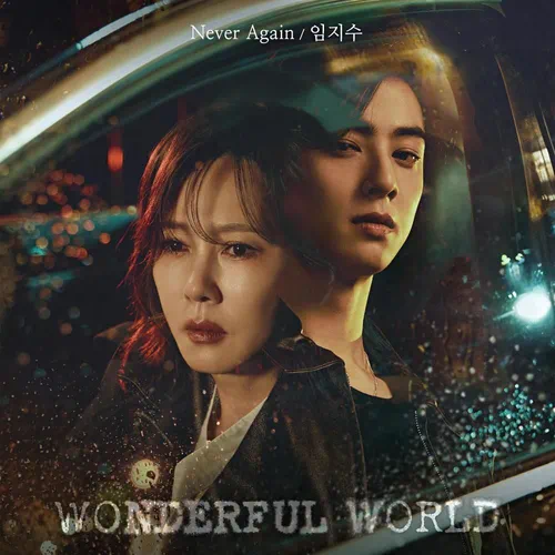 Lim Ji Soo – Wonderful World OST Part.2